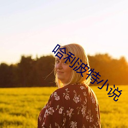 哈利波特小说 （邂逅相逢）