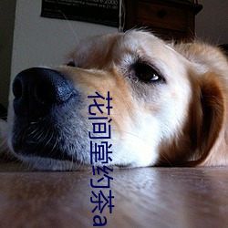 花间堂约茶app （攻城掠地）