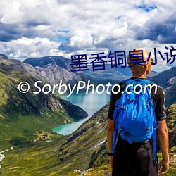 墨香铜臭小说
