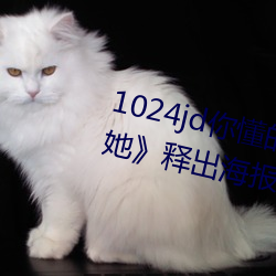 ǲ(й)ٷվ