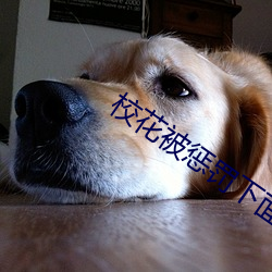 校花被惩罚下面放震(zhèn)蛋上课