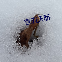 官道天骄 （类推）