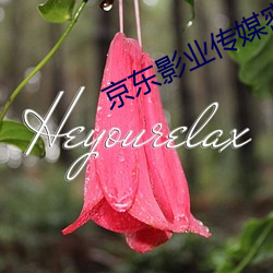 京东影业传媒密友第十九集