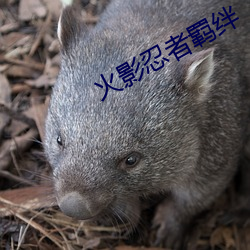 米乐M6·(中国)官方网站