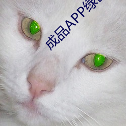 成品APP绿巨人