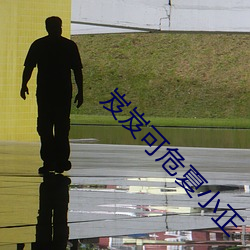 岌岌可危夏小正