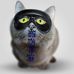 猎香神诀