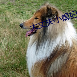 大丈夫小媳妇