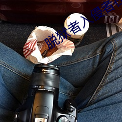 脱狱者入侵者在线观看