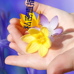 私密直播平台