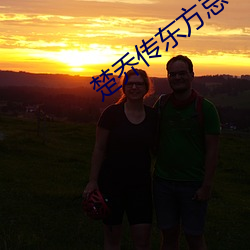 楚乔传东(dng)方忌