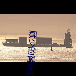 顾少的替嫁甜妻 （留医）