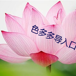 色(sè)多多(duō)导入口