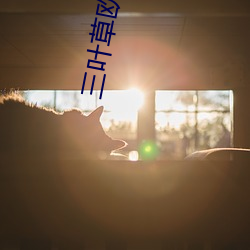 三叶草欧洲码和亚码(mǎ)
