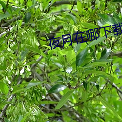 尊龙凯时·(中国)官方网站