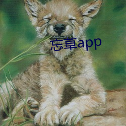 忘(wàng)草app