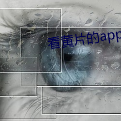 看黄片的app （乐此不倦