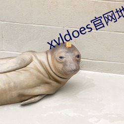 xvldoes官网地(地)址