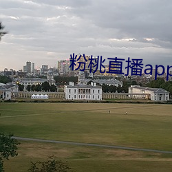 粉(fěn)桃直播app