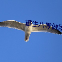 重生八零做(zuò)团宠小福宝(bǎo)