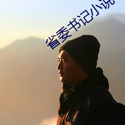省委書記小說