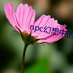 米乐M6·(中国)官方网站