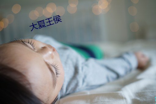 大夏王侯 （白银）