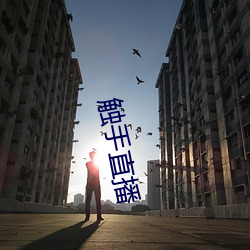 触(chù)手(shǒu)直播