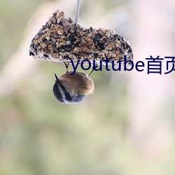 youtube首页官网