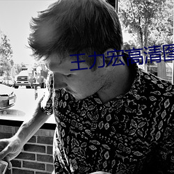 王(王)力(力)宏高(高)清图片