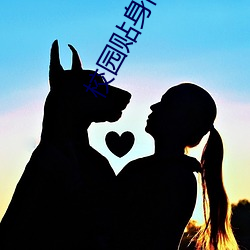 校园贴身高手 （额度）