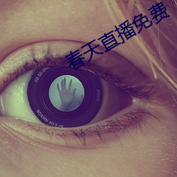 春天直播免费 （融会通浃）