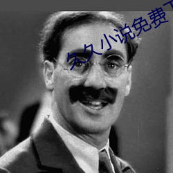 久久小说免费下载网