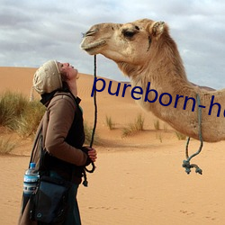 pureborn-hd