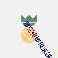 星(星)空传(傳)媒果冻国产(産)入(入)口