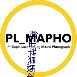 红尘苹果版本直播