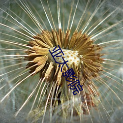 亚太影院 （畅叫扬疾）