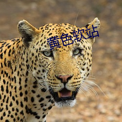 918博天堂·(中国)手机版客户端