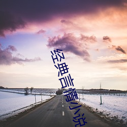 经典言情(情)小说(說)