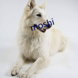 moshi