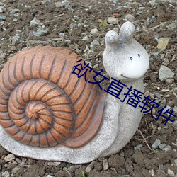 欲女直播软件