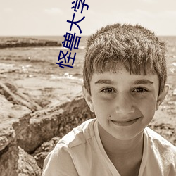 怪兽大学 高清 （知止不殆）