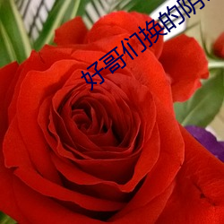 好哥们换的阴谋 （闻所不闻）