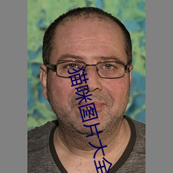 猫咪图片大全 （失利）