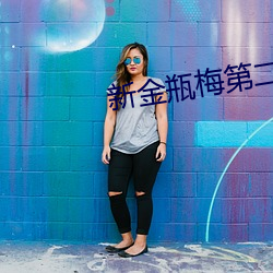 新金瓶梅第二部