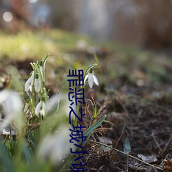 罪恶之城小说(shuō)