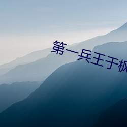 第一兵王(wáng)于枫(fēng)小(xiǎo)说免费阅(yuè)读全文(wén)