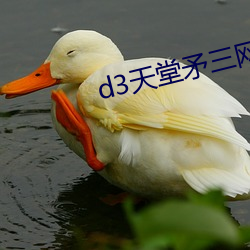 d3天堂矛三网