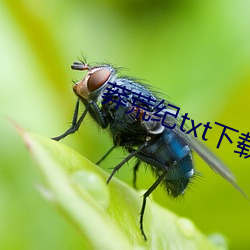 莽荒纪(jì)txt下(xià)载