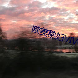 欧美熟妇VIVOE精品